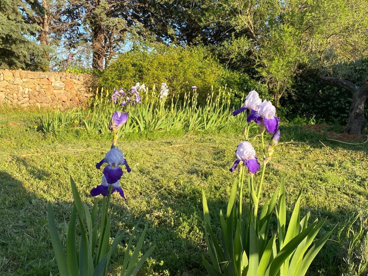 Villa Faro Provence Var Montfort-sur-Argens Dış mekan fotoğraf