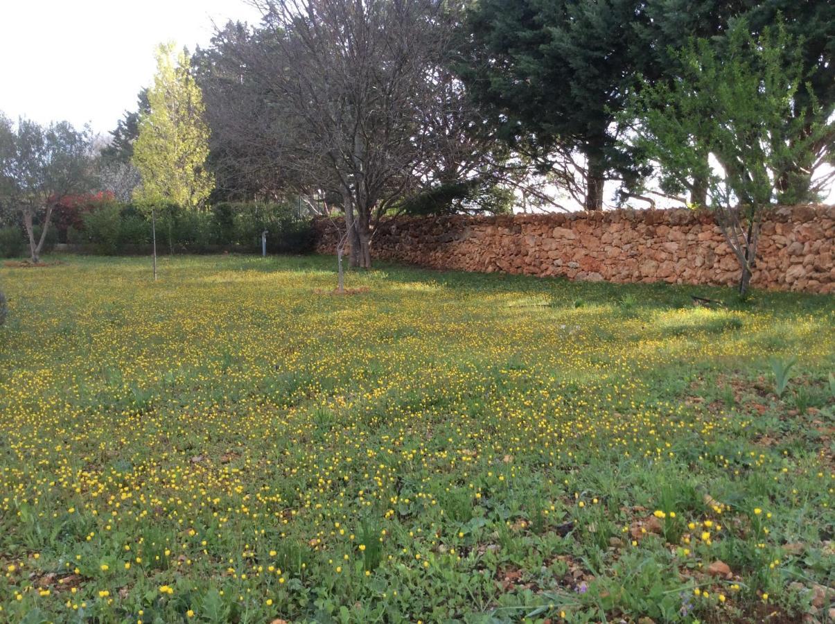 Villa Faro Provence Var Montfort-sur-Argens Dış mekan fotoğraf
